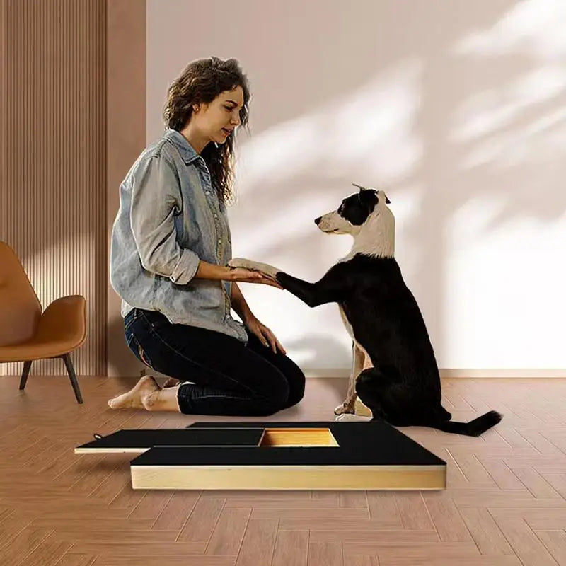 Wooden Dog Nail Scratch Pad with Built-in Treat Drawer
